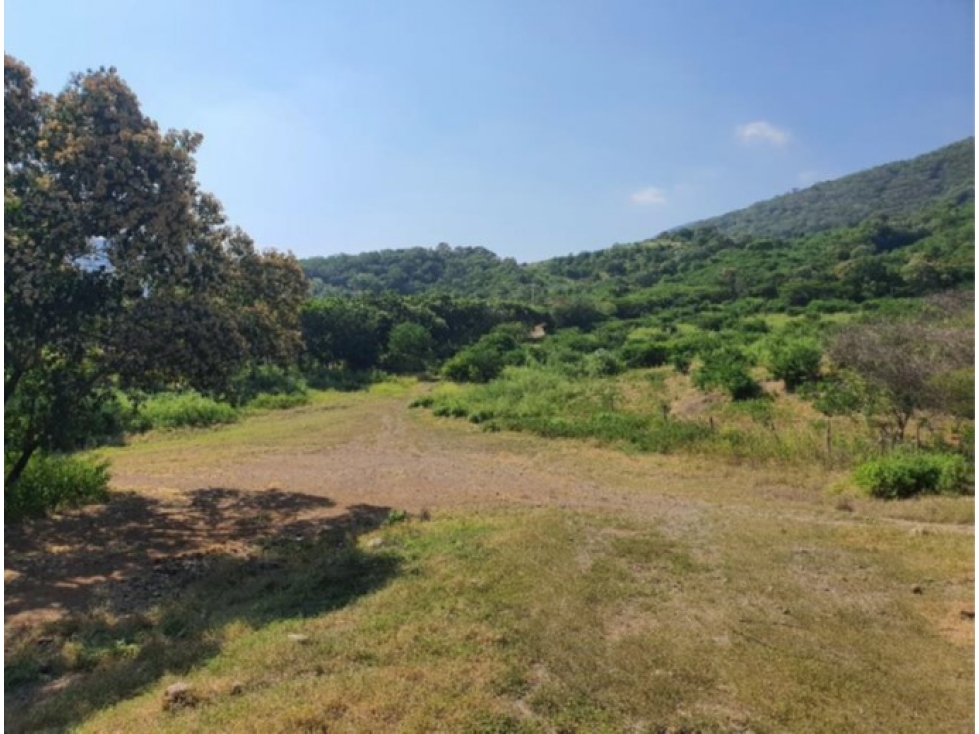 Nave Industrial y Terreno Agrícola en Venta - Colima 40,687 m² - 3