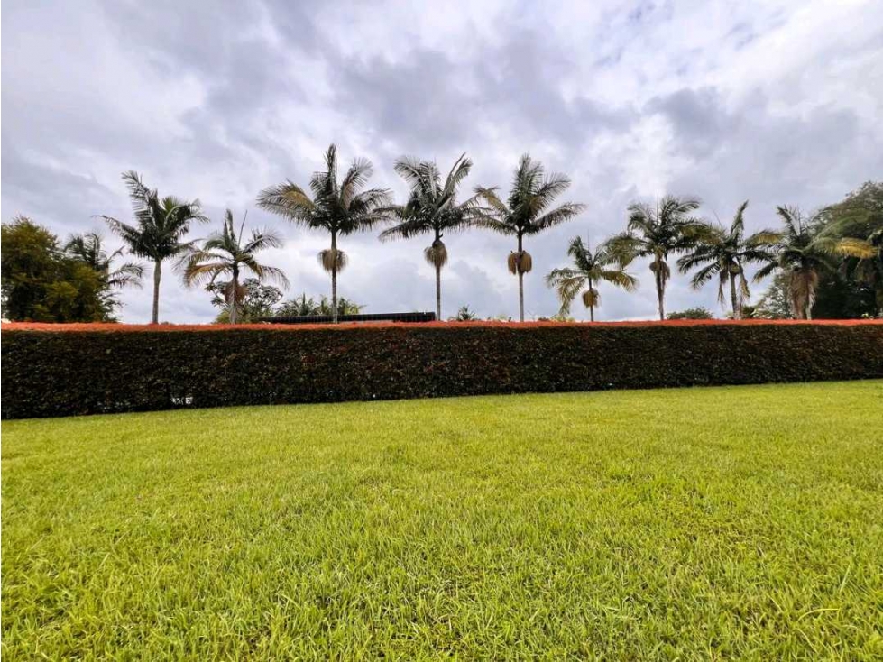 ÚNICO... LOTE EN VENTA EN PARCELACION EN LLANOGRANDE... Oportunidad. — foto 3