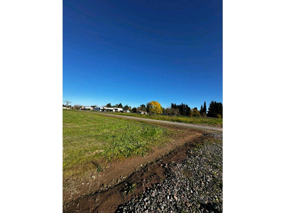 Nuevo Horizonte - Calle 208 entre 522 y 523 - 5