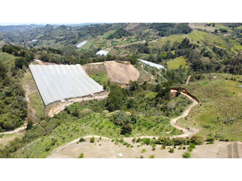Nuevo ingreso | Finca en San Vicente de Ferrer | 30 hectáreas