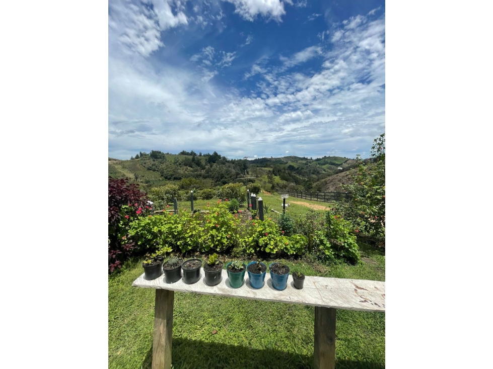 Nuevo ingreso | Finca en San Vicente de Ferrer | 30 hectáreas — foto 2