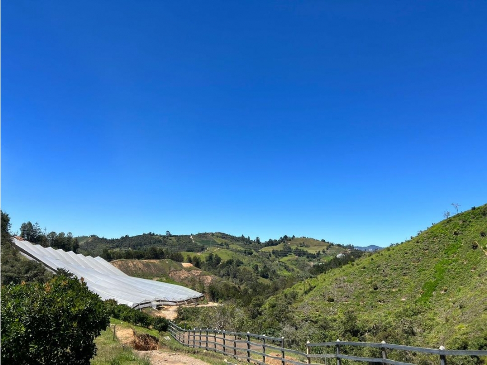 Nuevo ingreso | Finca en San Vicente de Ferrer | 30 hectáreas — foto 3