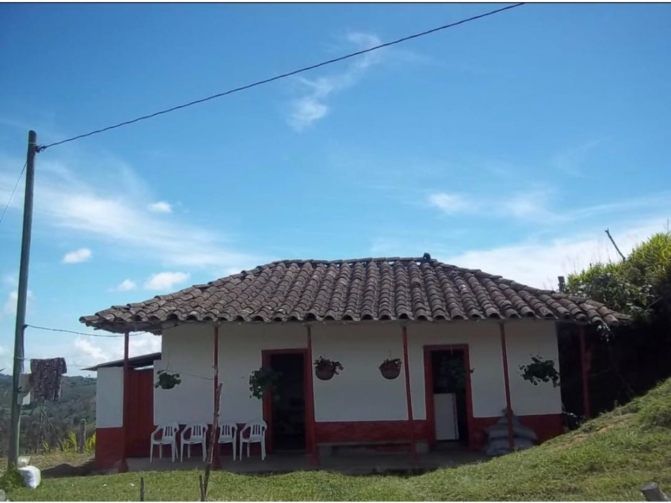 Nuevo ingreso | Finca en San Vicente de Ferrer | 30 hectáreas — foto 5