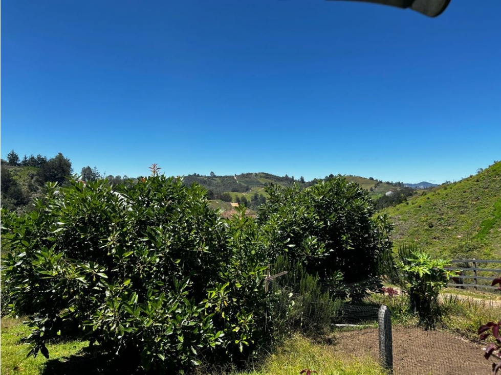 Nuevo ingreso | Finca en San Vicente de Ferrer | 30 hectáreas — foto 6