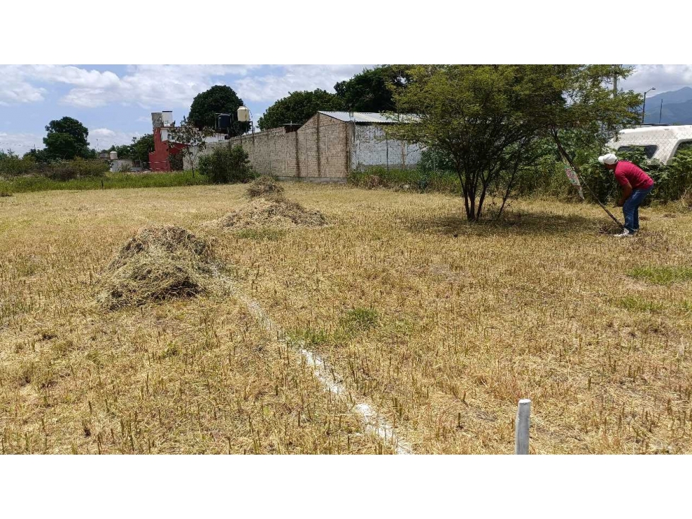 Oaxaca Oax/ Lote en Viguera/Zona Comercial - 6