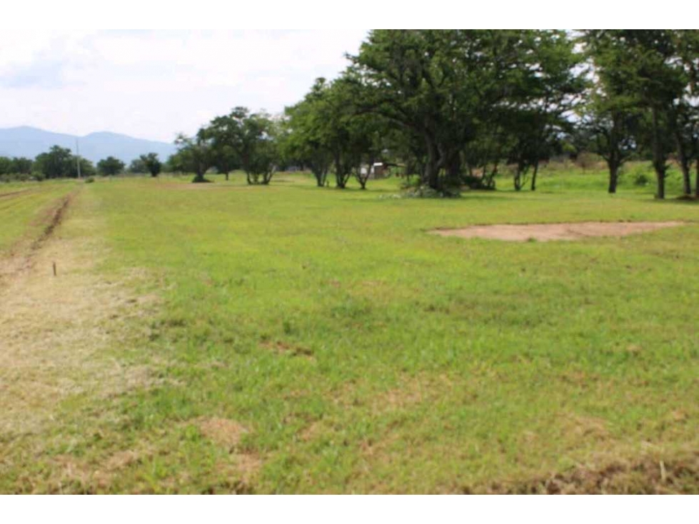 Oaxaca Oax./ Lote Propiedad/ Zona Turistica - 2