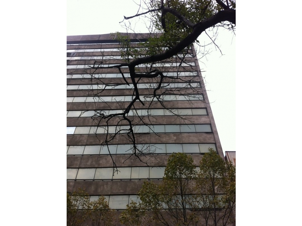 Oficina y Bodega en Venta Cuauhtémoc | Posesión Inmediata — foto 4
