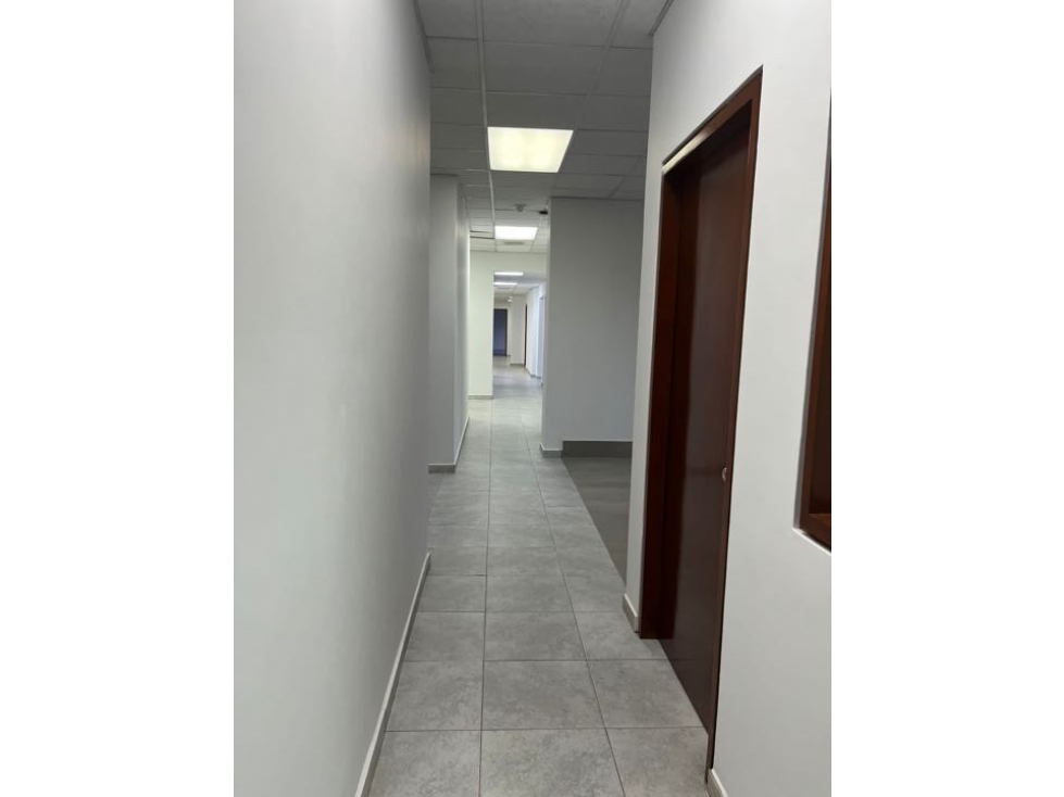 Marbella/ Oficina $6,500/Alquiler - Venta - 5