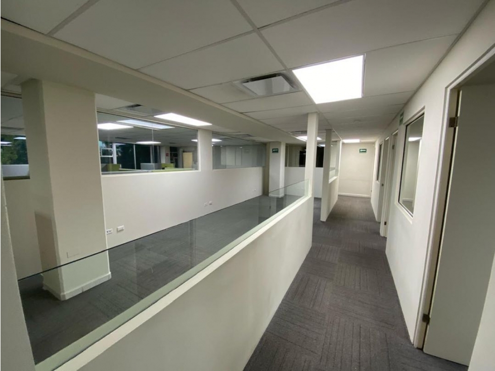 Oficinas en Renta Residencial Florida, Zona Tec. al Sur de Monterrrey - 3