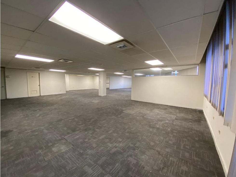 Oficinas en Renta Residencial Florida, Zona Tec. al Sur de Monterrrey - 4