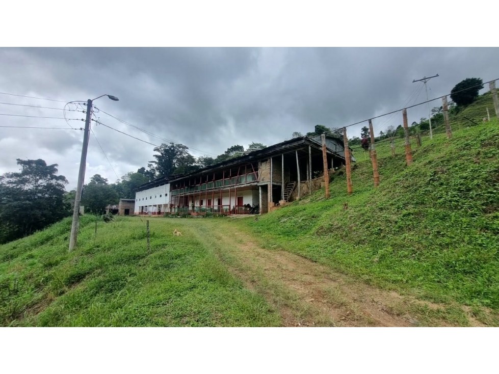 OPORTUNIDAD AGROINDUSTRIAL FINCA DE AGUACATE HASS ANSERMA N. - 4