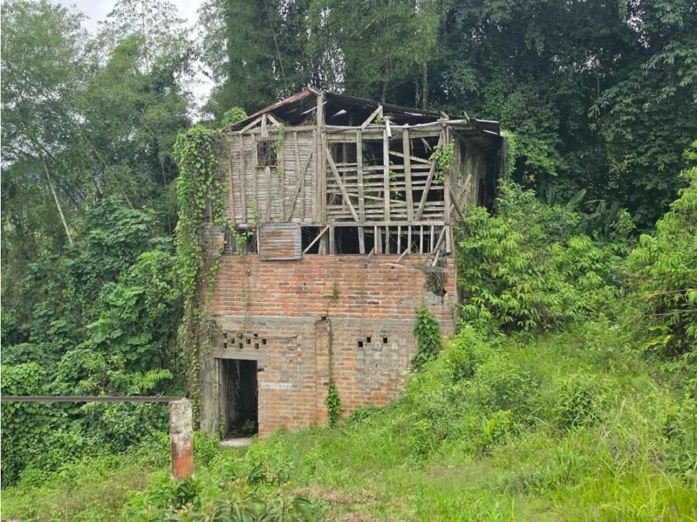 OPORTUNIDAD AGROINDUSTRIAL FINCA DE AGUACATE HASS ANSERMA N. - 5