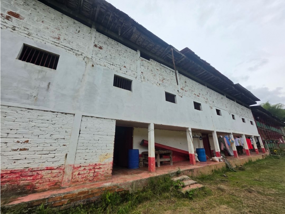 OPORTUNIDAD AGROINDUSTRIAL FINCA DE AGUACATE HASS ANSERMA N. - 6