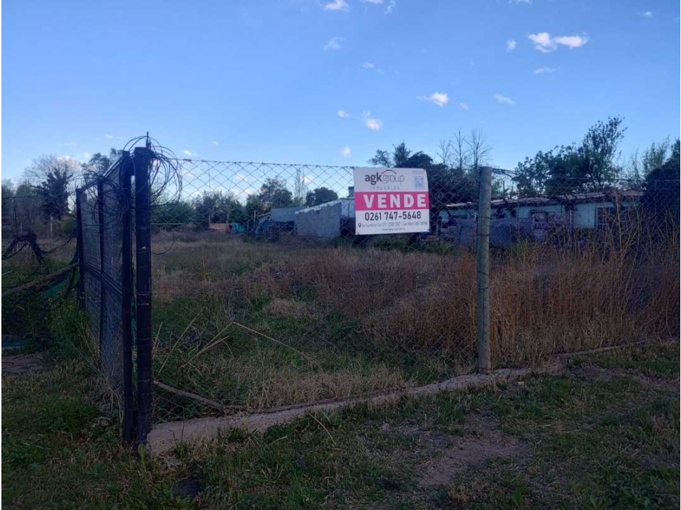 Oportunidad comercial |2 salones en venta en Vista Flores - 5