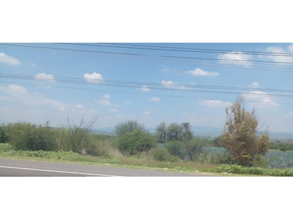 Oportunidad de Inversión: Derechos Litigiosos de Alta Plusvalía - 2