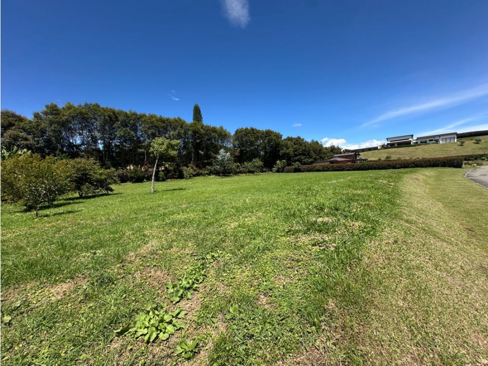 OPORTUNIDAD DE INVERSIÓN: LOTE PLANO 2,540 M² EN LA CEJA ANTIOQUIA — foto 3
