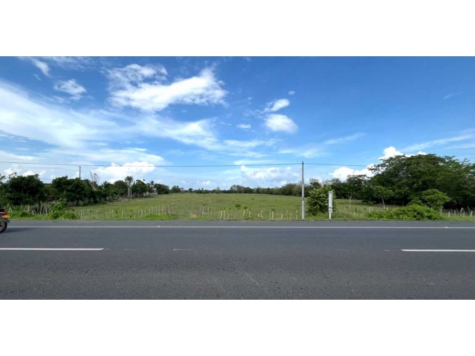 ¡Oportunidad de inversión única! Lote de 5 Hectáreas en Carrillo - 1