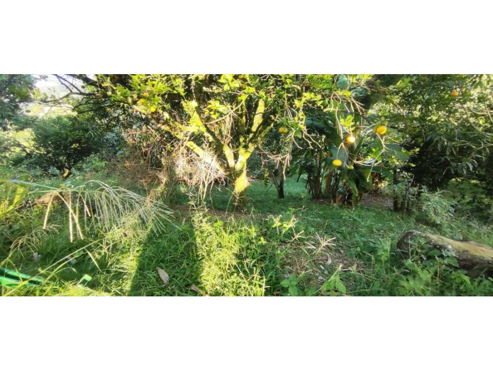 OPORTUNIDAD DE LOTE DE 1000 M2 EN 128 MILL EN LA MESA CUND