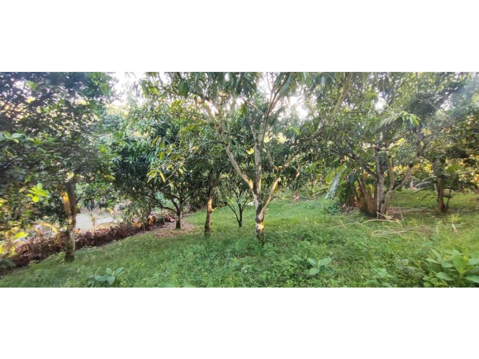 OPORTUNIDAD DE LOTE DE 1000 M2 EN 128 MILL EN LA MESA CUND — foto 2