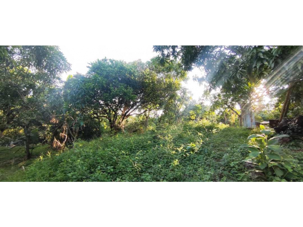 OPORTUNIDAD DE LOTE DE 1000 M2 EN 128 MILL EN LA MESA CUND — foto 3