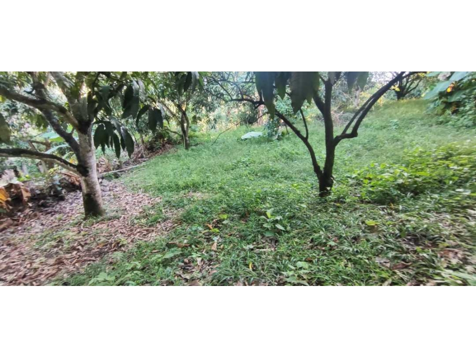 OPORTUNIDAD DE LOTE DE 1000 M2 EN 128 MILL EN LA MESA CUND — foto 4