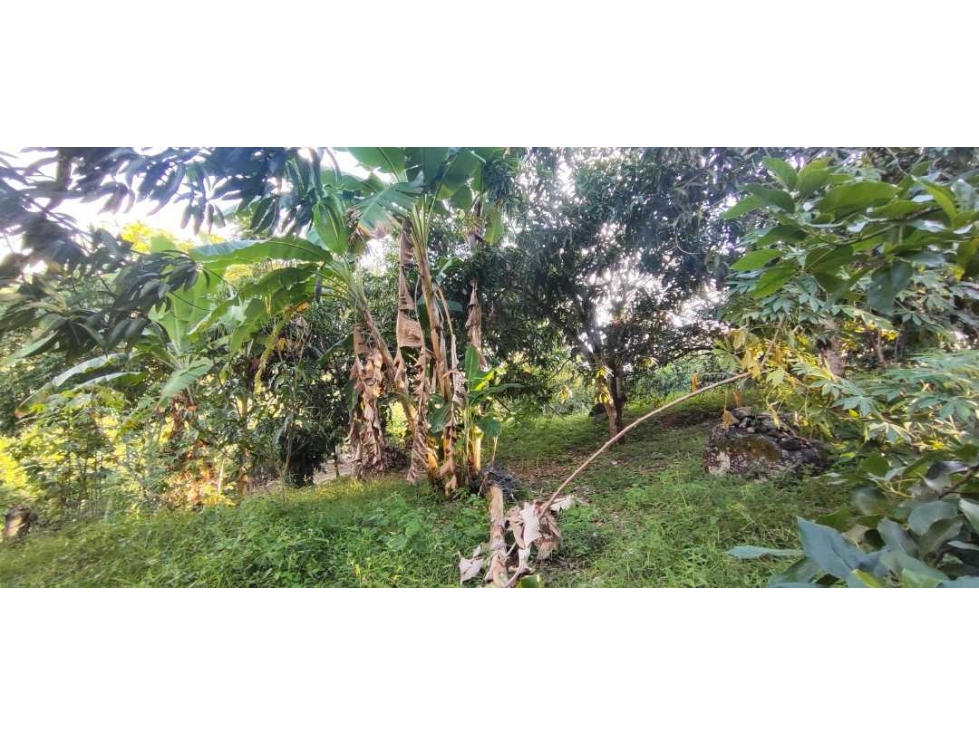 OPORTUNIDAD DE LOTE DE 1000 M2 EN 128 MILL EN LA MESA CUND — foto 5