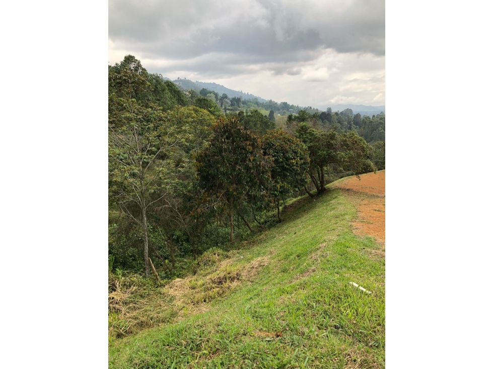 Oportunidad... ESPECTACULAR LOTE EN VENTA EN PARCELACIÓN EN GUARNE ANT — foto 4