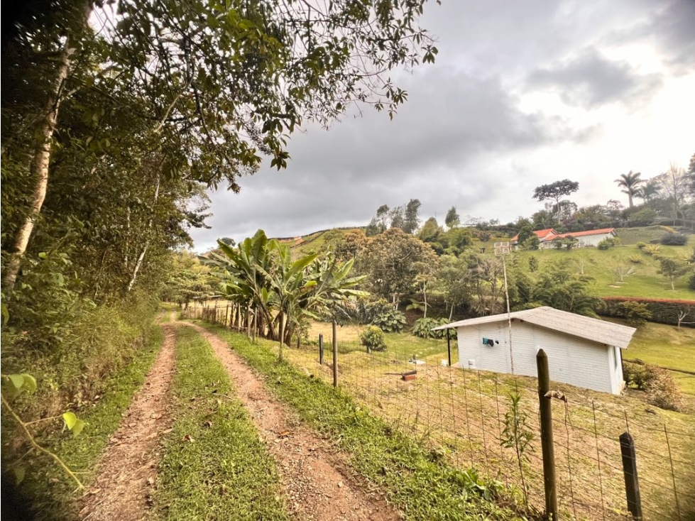 Oportunidad... Ganaga... INMUEBLE EN VENTA VEREDA QUIRAMA EN EL CARMEN — foto 4