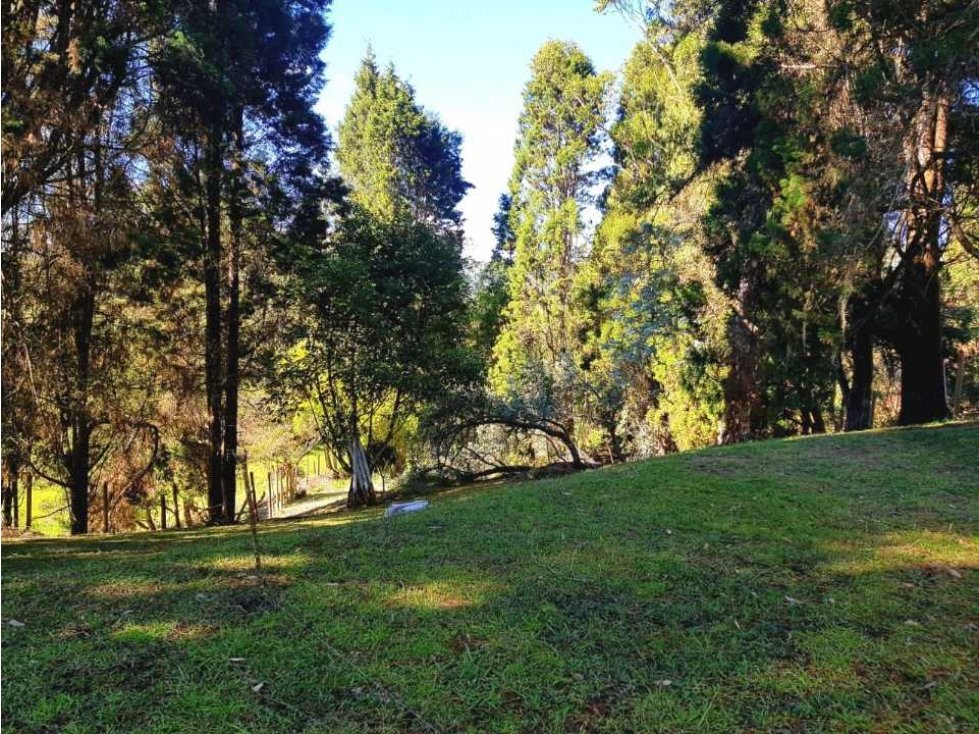 Oportunidad... HERMOSA CASA FINCA EN VENTA EN GUARNE ANTIOQUIA. — foto 4