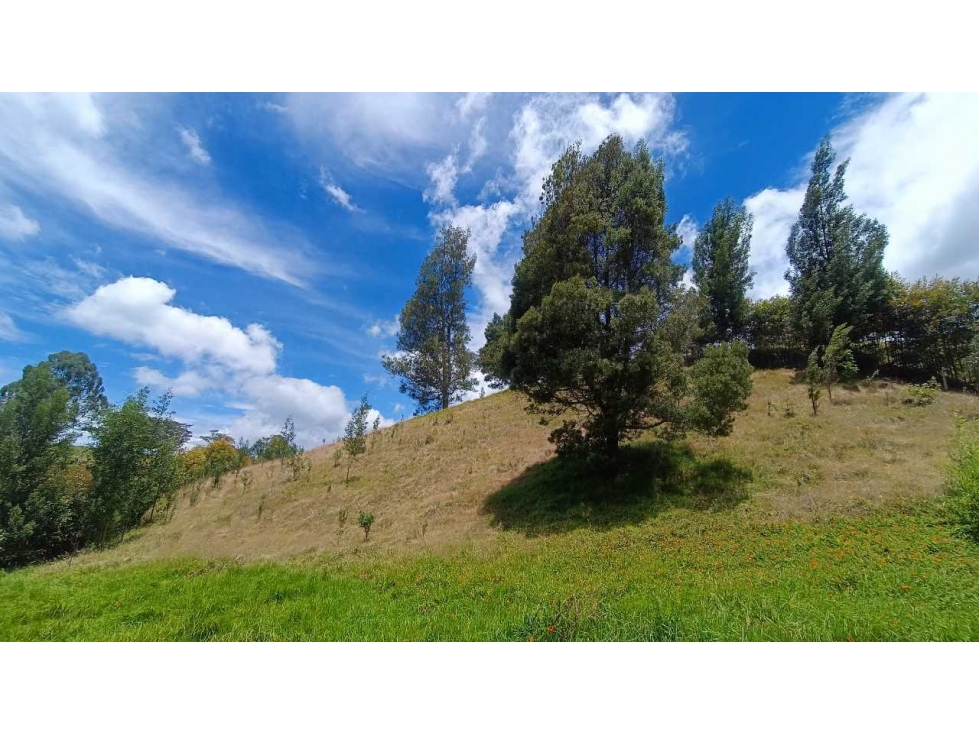 Oportunidad! Hermoso Lote en San Félix vía San Pedro. Precio especial