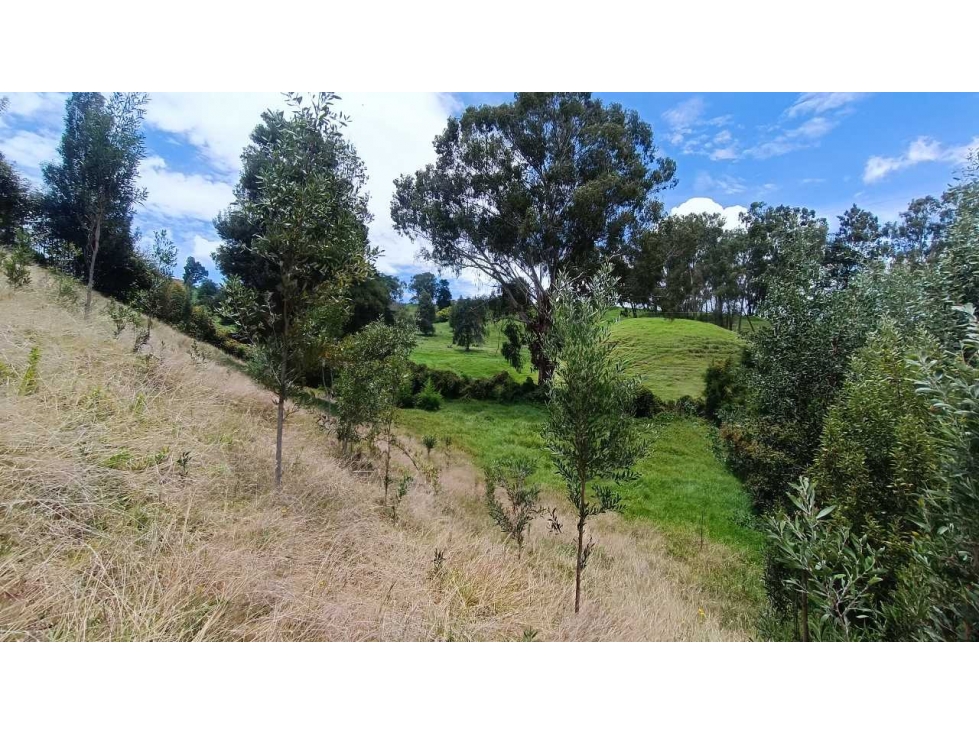 Oportunidad! Hermoso Lote en San Félix vía San Pedro. Precio especial — foto 2