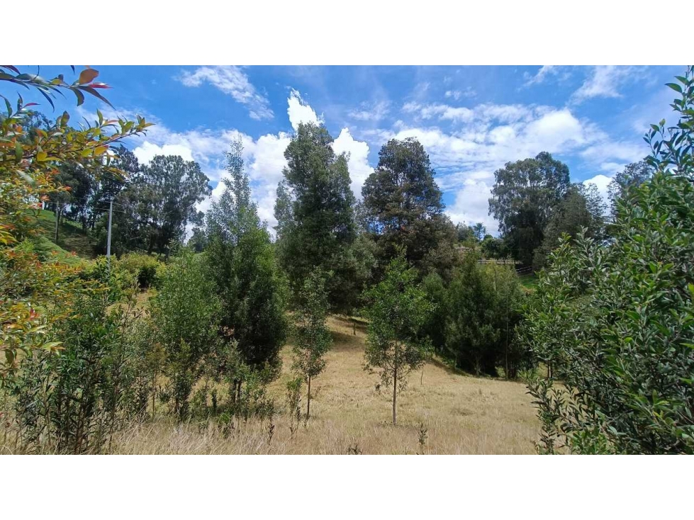 Oportunidad! Hermoso Lote en San Félix vía San Pedro. Precio especial — foto 3