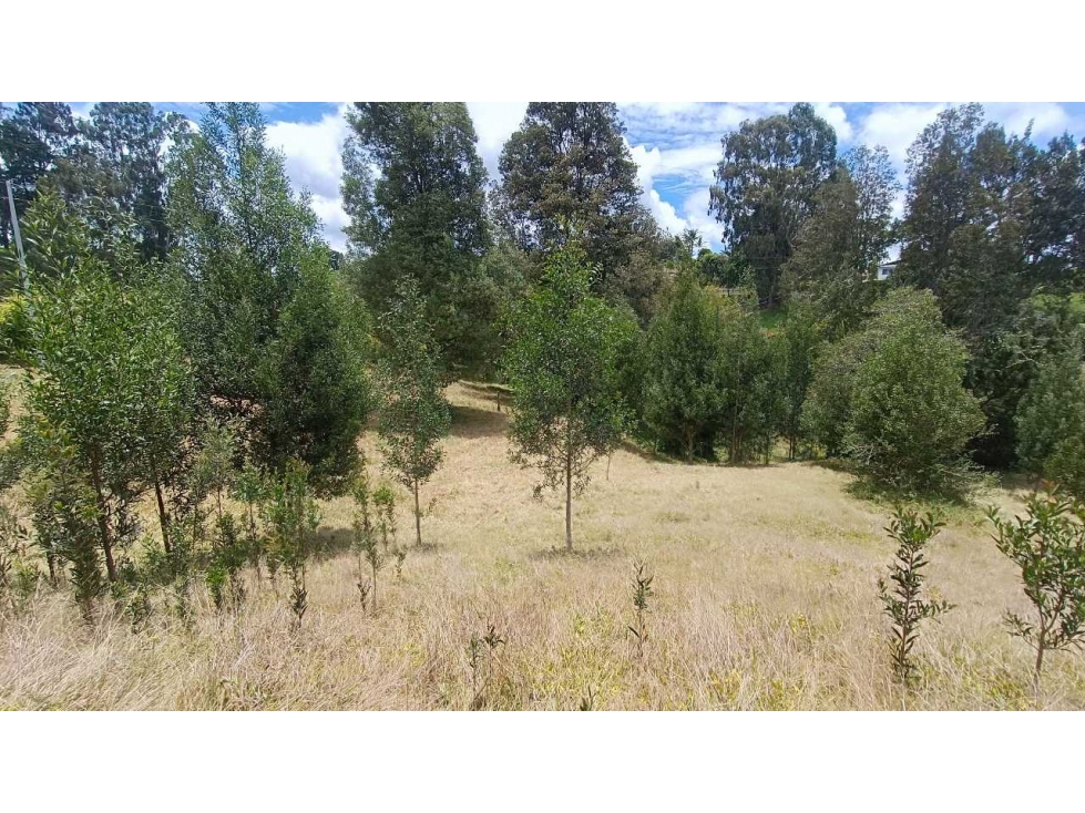 Oportunidad! Hermoso Lote en San Félix vía San Pedro. Precio especial — foto 5