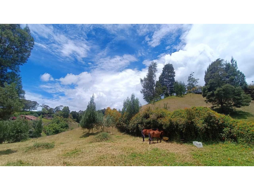 Oportunidad! Hermoso Lote en San Félix vía San Pedro. Precio especial — foto 4