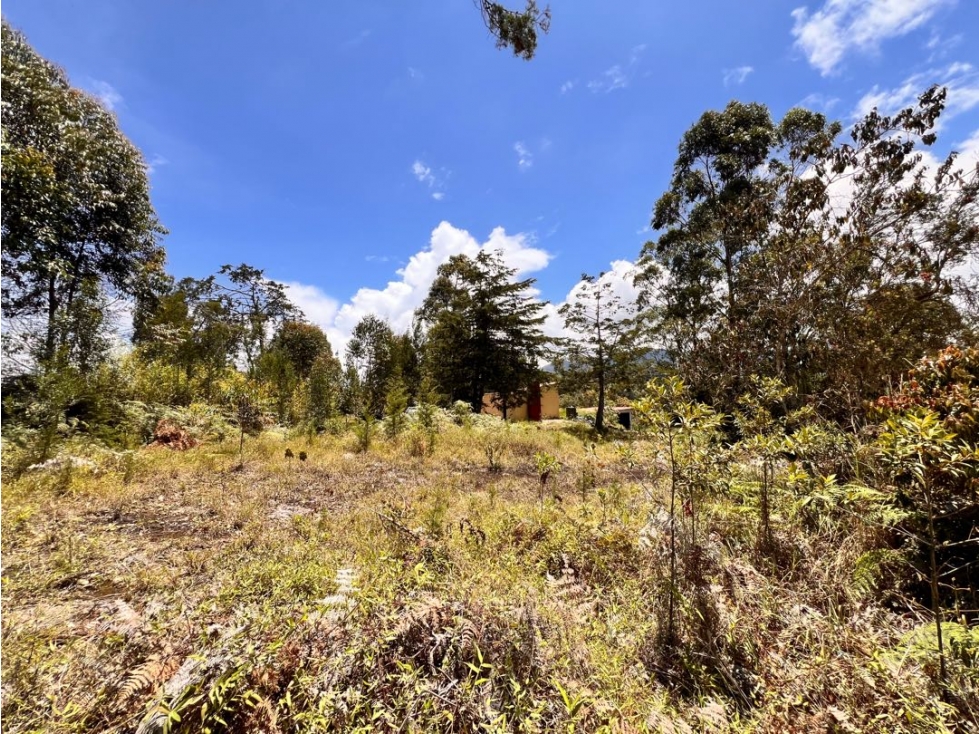 Oportunidad. HERMOSOS LOTES CON EXCELENTE PRECIOEN VENTA~ VDA. QUIRAMA — foto 2