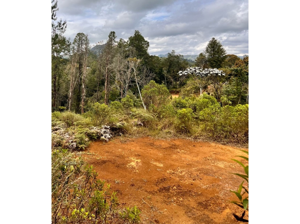 Oportunidad. HERMOSOS LOTES CON EXCELENTE PRECIOEN VENTA~ VDA. QUIRAMA — foto 4