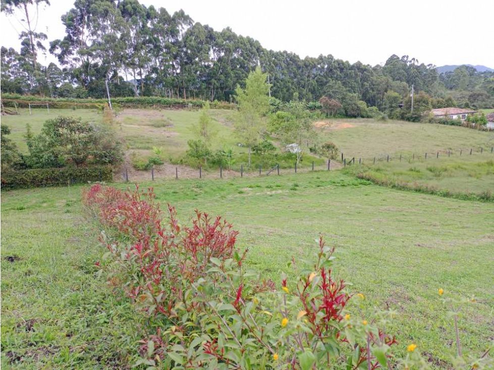 OPORTUNIDAD!!! HERMOSOS LOTES EN VENTA EN EL CARMEN DE VIBORAL — foto 6