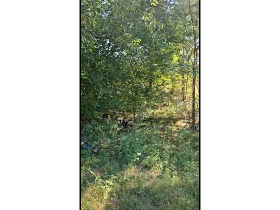 OPORTUNIDAD IMPERDIBLE TERRENO EN BIALET MASSÉ a pasos del rio - 2