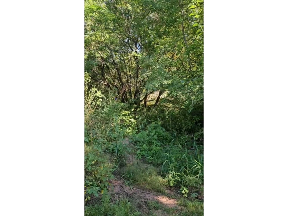 OPORTUNIDAD IMPERDIBLE TERRENO EN BIALET MASSÉ a pasos del rio - 3