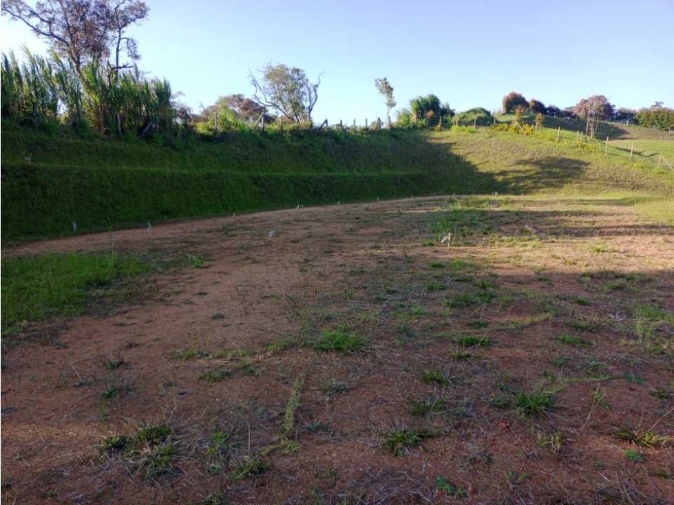 OPORTUNIDAD... LINDO LOTE CAMPESTRE ESQUINERO EN VENTA SECTOR - VISTA.