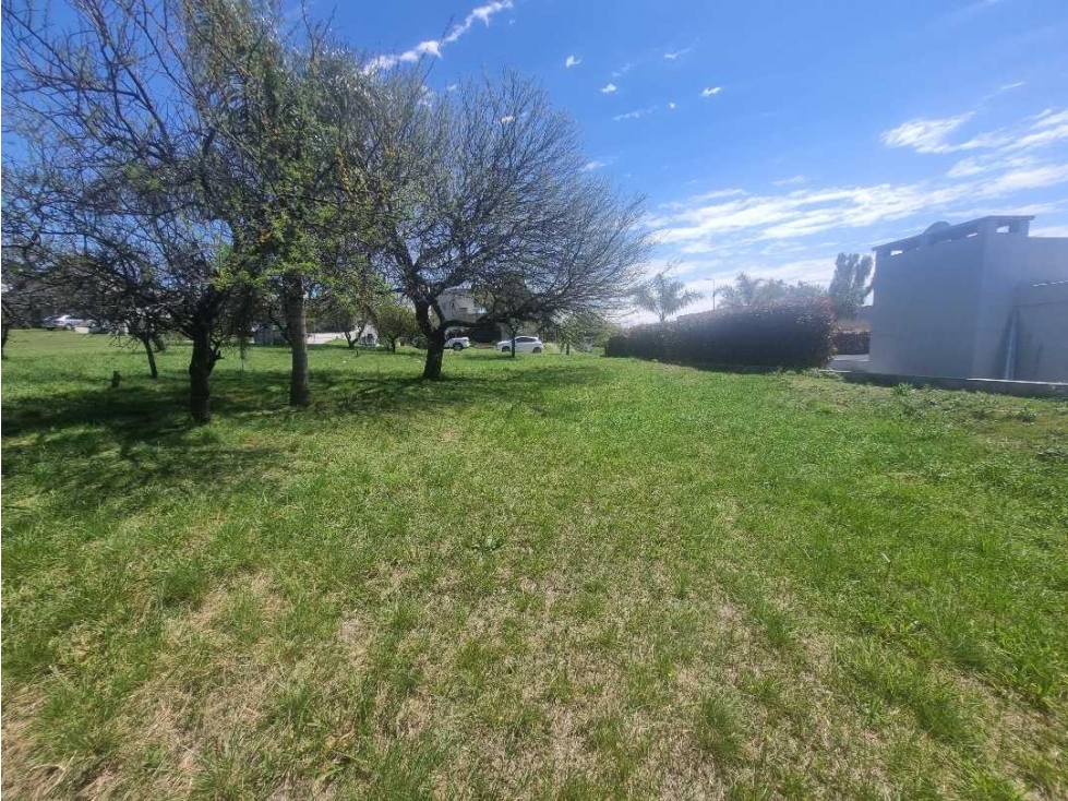 Oportunidad lote barrio cerrado La Arbolada - 5