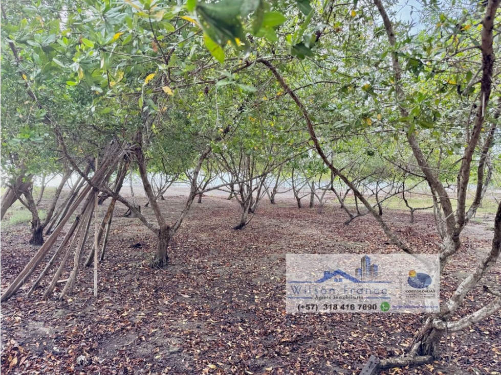 OPORTUNIDAD Lote de Terreno Frente Al Mar en Venta Serena Cartagena — foto 4