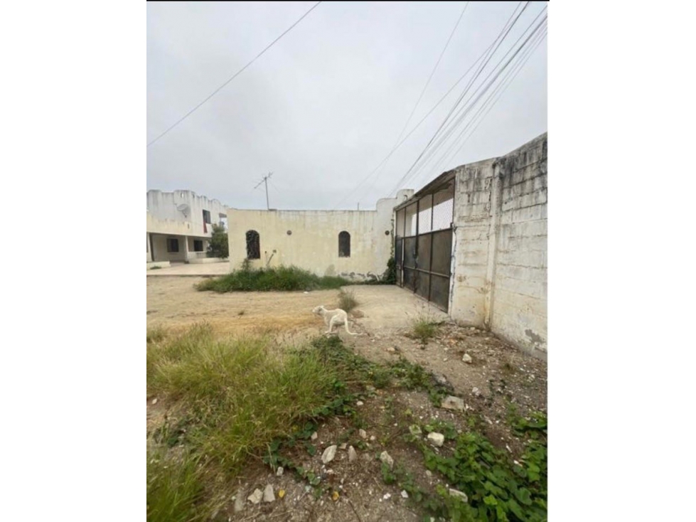 ¡OPORTUNIDAD ÃNICA EN SALINAS! TERRENO + 2 CASAS POR SOLO $79,900 — foto 6
