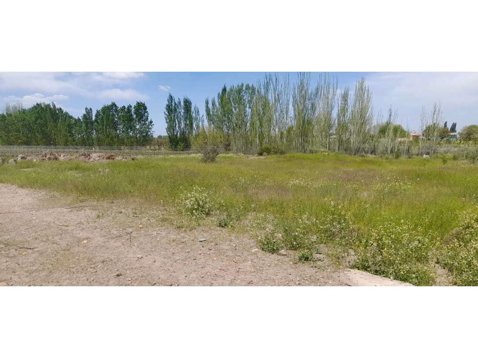 Oportunidad única excelente terreno en venta ubicado en Vista Flores - 2