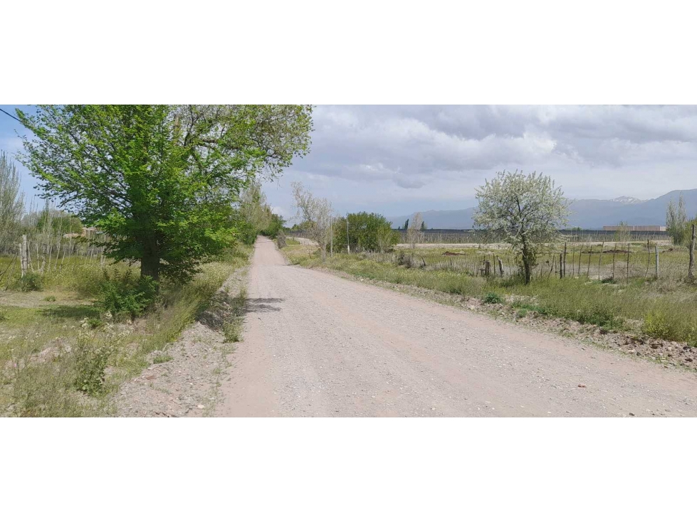 Oportunidad única excelente terreno en venta ubicado en Vista Flores - 1