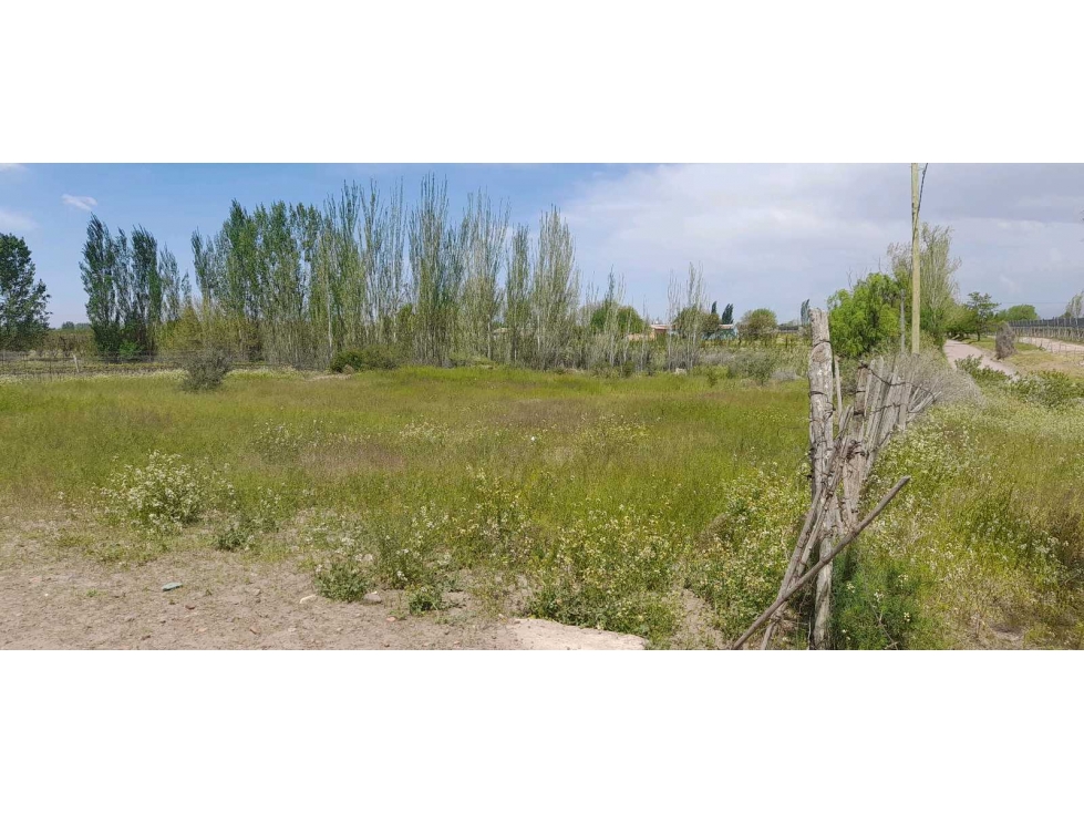 Oportunidad única excelente terreno en venta ubicado en Vista Flores - 4