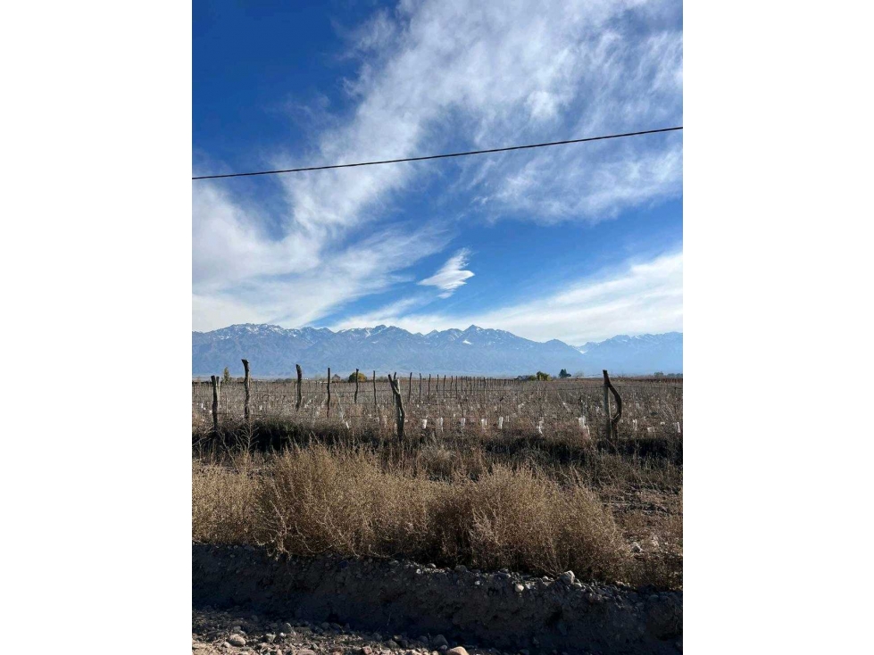 Oportunidad única excelente terreno en venta ubicado en Vista Flores - 6