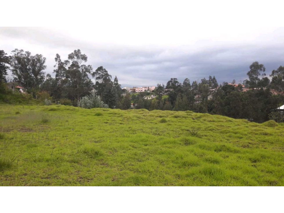 Oportunidad para Constructores, terreno en Venta, Alangasí-Los Chillos