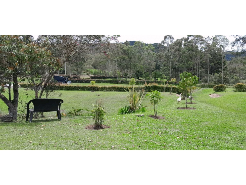 Oportunidad Venta Lote Parcelación Guatapé Antioquia — foto 3