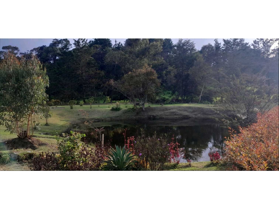 Oportunidad Venta Lote Parcelación Guatapé Antioquia — foto 4